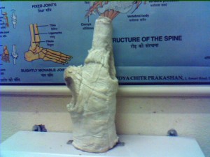 peculiar cast